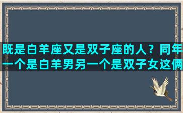 既是白羊座又是双子座的人？同年一个是白羊男另一个是双子女这俩人在今年感情好不好