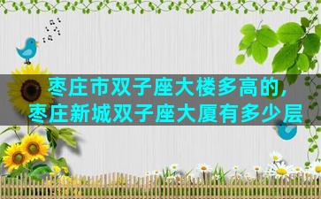 枣庄市双子座大楼多高的,枣庄新城双子座大厦有多少层