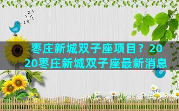 枣庄新城双子座项目？2020枣庄新城双子座最新消息