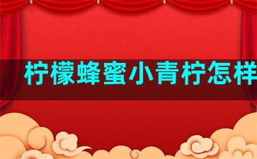柠檬蜂蜜小青柠怎样腌制