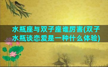水瓶座与双子座谁厉害(双子水瓶谈恋爱是一种什么体验)