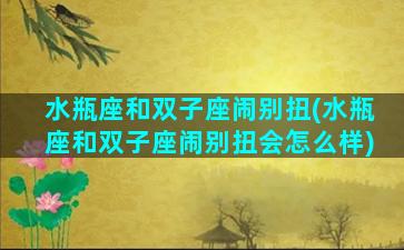 水瓶座和双子座闹别扭(水瓶座和双子座闹别扭会怎么样)