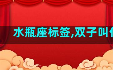 水瓶座标签,双子叫什么