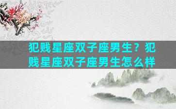 犯贱星座双子座男生？犯贱星座双子座男生怎么样