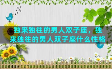 独来独往的男人双子座，独来独往的男人双子座什么性格