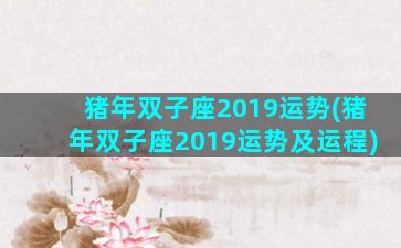 猪年双子座2019运势(猪年双子座2019运势及运程)