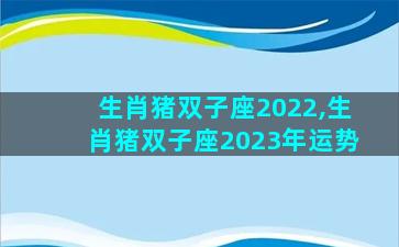 生肖猪双子座2022,生肖猪双子座2023年运势