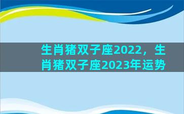生肖猪双子座2022，生肖猪双子座2023年运势