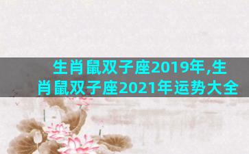 生肖鼠双子座2019年,生肖鼠双子座2021年运势大全