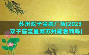 苏州双子金融广场(2023双子座流星雨苏州能看到吗)