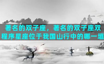 著名的双子座，著名的双子座双程序星座位于我国山行中的哪一垣