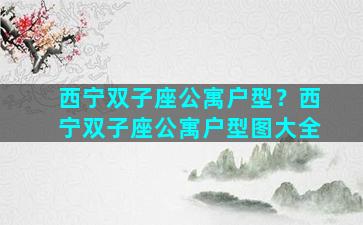 西宁双子座公寓户型？西宁双子座公寓户型图大全