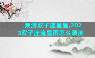 观测双子座星星,2023双子座流星雨怎么观测