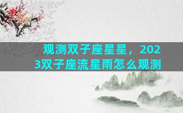 观测双子座星星，2023双子座流星雨怎么观测