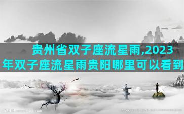 贵州省双子座流星雨,2023年双子座流星雨贵阳哪里可以看到