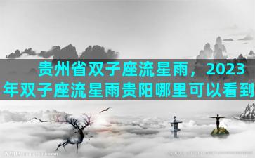 贵州省双子座流星雨，2023年双子座流星雨贵阳哪里可以看到