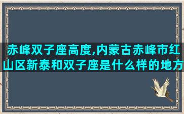 赤峰双子座高度,内蒙古赤峰市红山区新泰和双子座是什么样的地方