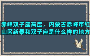 赤峰双子座高度，内蒙古赤峰市红山区新泰和双子座是什么样的地方
