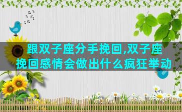 跟双子座分手挽回,双子座挽回感情会做出什么疯狂举动