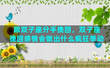 跟双子座分手挽回，双子座挽回感情会做出什么疯狂举动