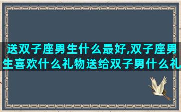 送双子座男生什么最好,双子座男生喜欢什么礼物送给双子男什么礼物最好