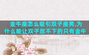 金牛座怎么吸引双子座男,为什么能让双子放不下的只有金牛