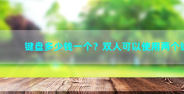 键盘多少钱一个？双人可以使用两个键盘吗