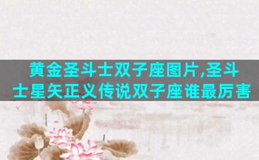 黄金圣斗士双子座图片,圣斗士星矢正义传说双子座谁最厉害